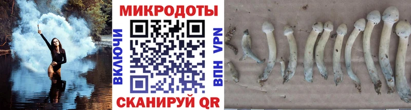 наркота  Пионерский  Псилоцибиновые грибы Magic Shrooms 